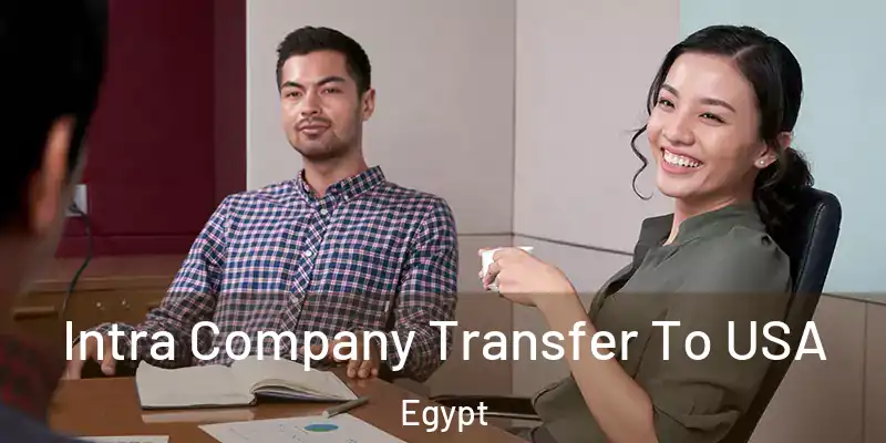  Intra Company Transfer To USA Egypt